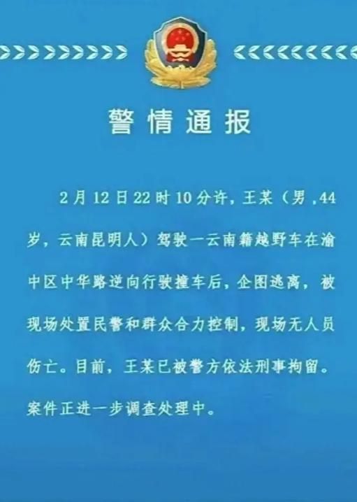 深入了解刑拘，法律术语的解释与实际应用