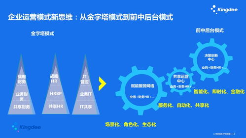 现代企业经营管理，策略、挑战与未来趋势