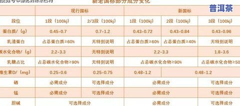 深入了解二级高级警长的职责与警衔等级