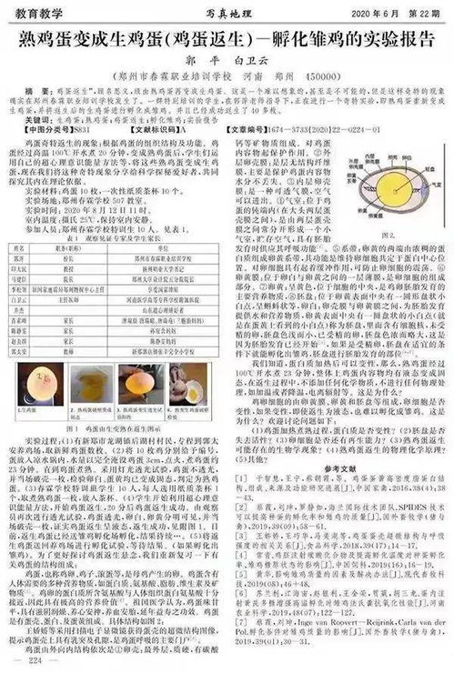 深入探究，一头牛的重量及其背后的科学