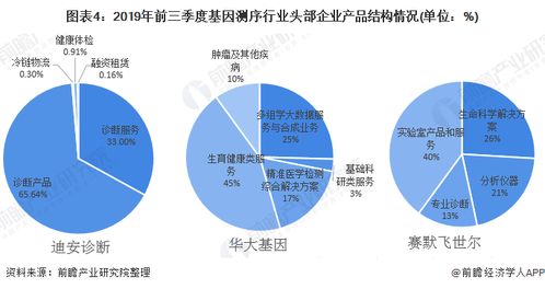 深入了解营业收入，定义、构成及其在企业运营中的重要性