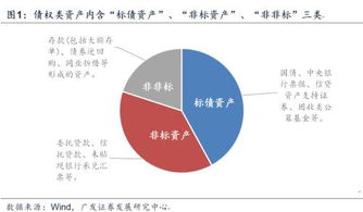 非标债权资产，金融世界中的定制西装