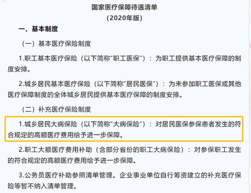 大病医保申请指南，步骤、条件与注意事项