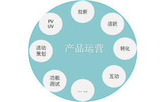 揭开有限责任公司的神秘面纱，定义、优势与运作机制