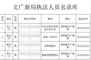 深入了解身份证号码和真实姓名查询，隐私保护与信息安全