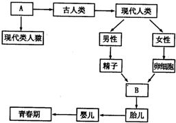 关说一词的起源、含义及其在现代语境中的应用