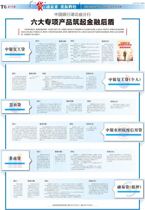 深入了解中银消费信贷记录卡，您的信用生活指南