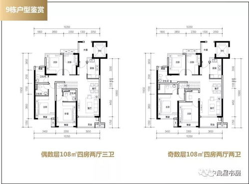 金钱豹价格，市场价值与投资潜力解析