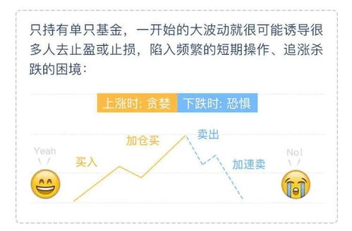 投资者保护基金，市场稳定器还是风险放大器？