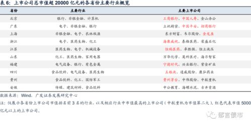 深入了解公司债券发行条件，关键因素与实践指南