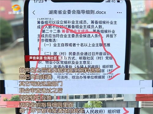 如何顺利成立业主委员会，条件、步骤与实用建议