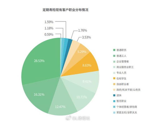 定期人寿保险，为爱护航，为未来规划