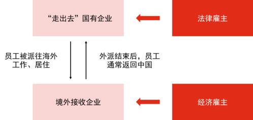 税法新风向，如何影响你的钱包和生活