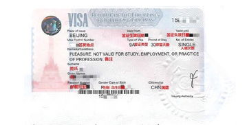 个人赴美旅游签证，全面指南与实用建议