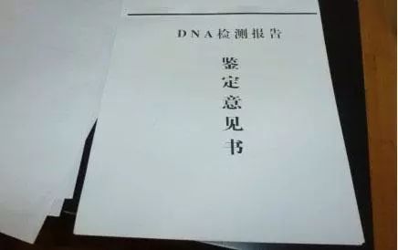 亲子鉴定，揭开真相的科学之旅