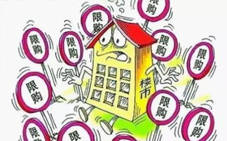 青岛限购令，房地产市场的新风向标