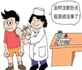 了解狂犬病疫苗，保护我们免受致命威胁