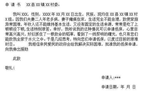 如何撰写城镇低保申请书，一份详尽指南