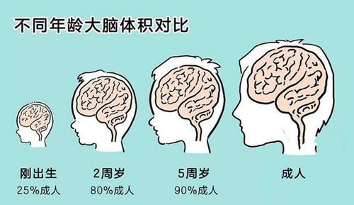 摇头晃脑，一种肢体语言的奥秘
