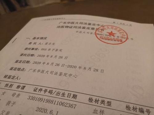 深入了解，重伤鉴定标准及其在法律实践中的重要性