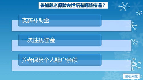 个人养老金缴费标准，保障未来，规划现在