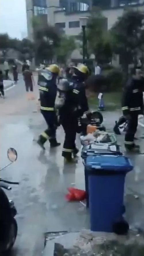 揭秘皮肤病，病因、预防与治疗全攻略