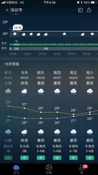 深度解析，荷兰签证费用全攻略，省钱省时的申请指南