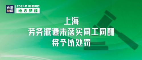 上海劳动保障网，您的职场权益守护者