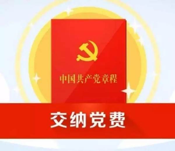 党费收缴标准，党的纪律与党员责任的体现