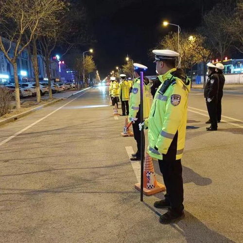 交通违章投诉，维护道路安全与秩序的有力武器