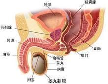 揭秘粘液腺囊肿，从成因到治疗的全面解析