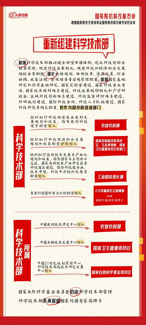 驾照新规定全解析，2023年驾考改革要点与应对策略