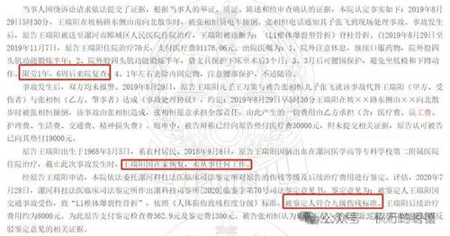 深度解析，人身损害赔偿的法律框架与实践应用