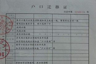 毕业后的户口大迁徙，轻松搞定户口迁移指南