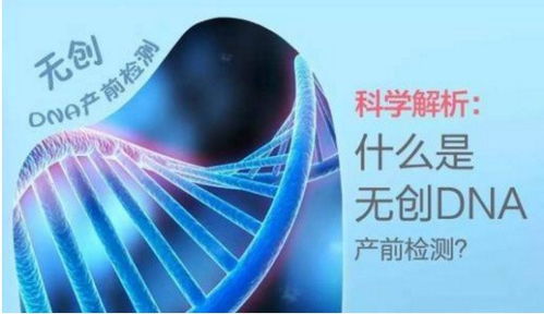 揭开DNA亲子鉴定价格的神秘面纱，了解、比较与选择