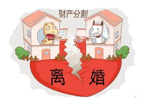 新婚姻法下的婚后买房，权利与义务的平衡艺术