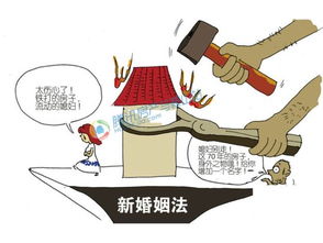 新婚姻法下的婚后买房，权利与义务的平衡艺术
