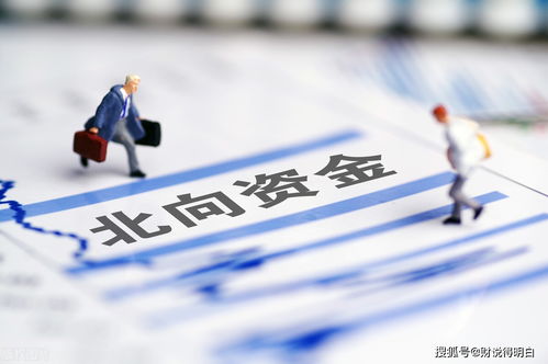 揭开110网贷的神秘面纱，风险、陷阱与防范策略