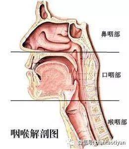 喉咙异物感，原因、诊断与应对策略