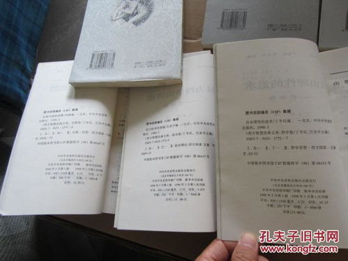揭开亲子鉴定的神秘面纱，科学、法律与情感的交织