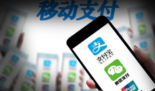 网上交罚款，便捷与效率的现代支付方式