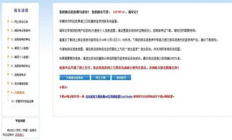 网上交罚款，便捷与效率的现代支付方式