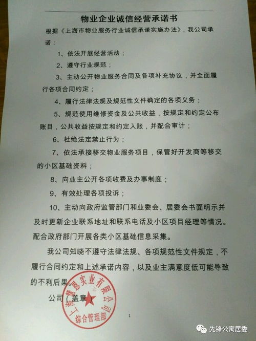 承诺的力量，个人承诺书的魔力与实践