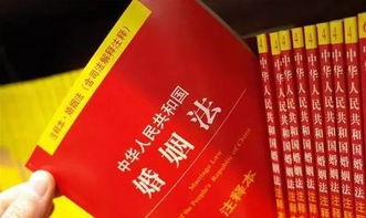 新婚姻法条例，新时代下的婚姻关系与法律保障