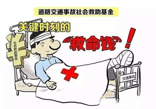 生命线，道路交通事故社会救助基金的守护力量