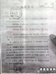 土地租赁合同，法律条款、风险防范与实操指南