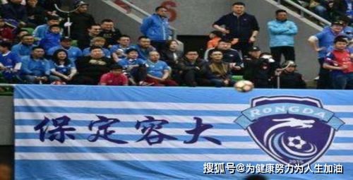 保定容大足球俱乐部欠薪风波，足球梦想与现实的碰撞