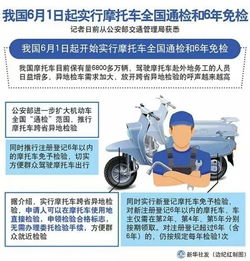 上海车辆违章查询，便捷、透明、高效—掌握您的驾驶记录