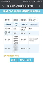 大庆交通违章查询，便捷、高效、安全
