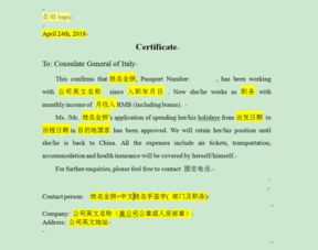 意大利签证流程，全面指南与实用建议
